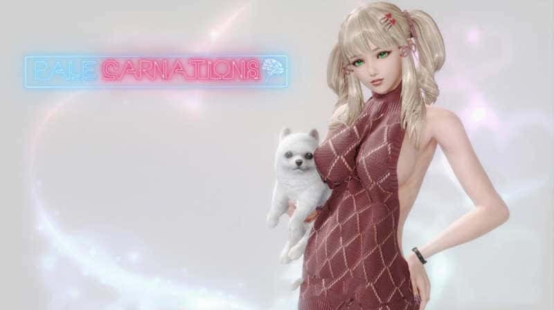 康乃馨俱乐部插画